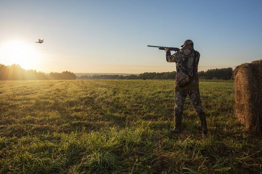 Hunter aiming with rifle on pheasant.  Hunter man.