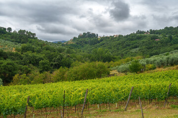 Fototapeta na wymiar Rural landscape near Cavriglia, Arezzo, Tuscany