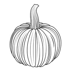 Contour drawing of a pumpkin. Coloring book