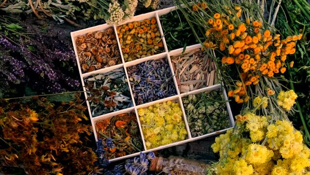 Dried flowers and herbs tea and alternative medicine. Selective focus.