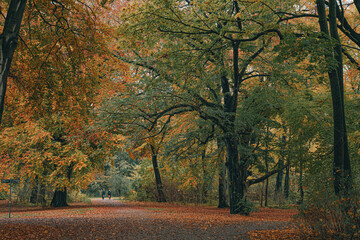 zwei Radfahrer in der Ferne im Herbst im Treptower Park, Berlin, Deutschland