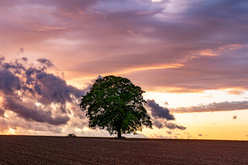 Wolkenhimmel nach Sonnenuntergang