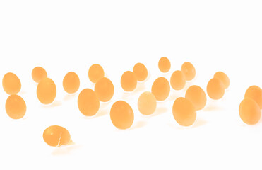 Life On Earth And Human Condition, Concept.JPG