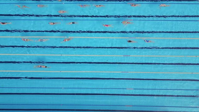 swimmers training in a sports aerial view
