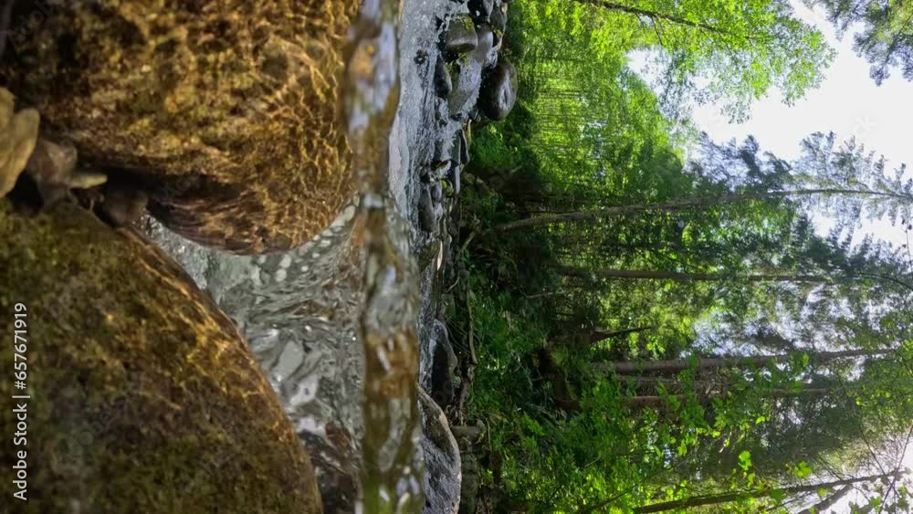 Poster vertical video, camera moves in the water between stones in mountain river with crystal clear water.