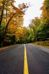 Autumn Leaves and Country Road in Huntsville, near Algonquin Provincial Park, Muskoka, Ontario,...