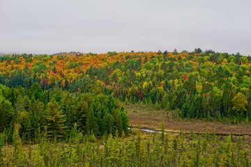 Algonquin Provincial Park near the Visitor Centre, Muskoka, Ontario, Canada