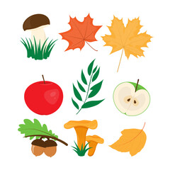 Autumn set of design elements. Harvest apples, mushrooms and leaves.
