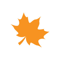 autumn leaf logo icon