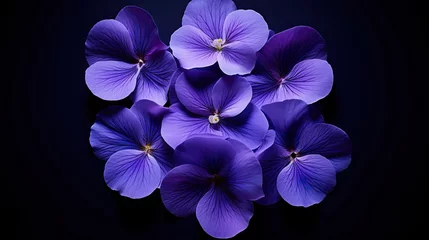 Fotobehang Dainty violet pansy petals centred against a deep purply backdrop.  © Dannchez