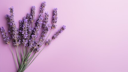 Minimalist arrangement of lavender flower on a muted purple backdrop.  - obrazy, fototapety, plakaty