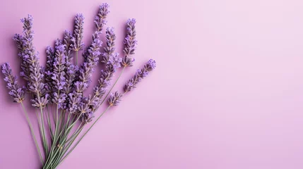 Fototapeten Minimalist arrangement of lavender flower on a muted purple backdrop.  © Dannchez