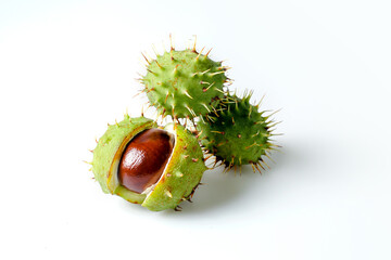 Autumn horse chestnut with peel on a white background. Isolated - 657690946