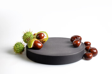 Autumn horse chestnut with peel on a white background. Black podium for your product - 657690947