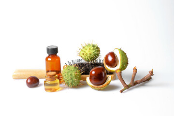 Autumn horse chestnut with peel, bottles with oil and chestnut extract and comb. Hair care concept - 657690962