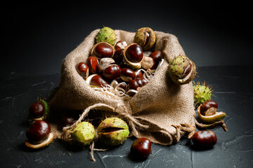 Bag of autumn horse chestnuts with peel on black background - 657690980