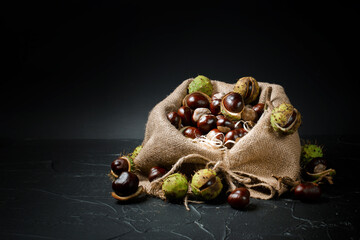 Bag of autumn horse chestnuts with peel on black background - 657690993