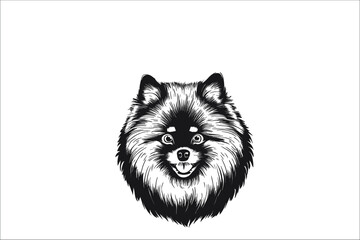 Keeshond Majesty: A Vector Portrait of a Proud and Beautiful Dog
