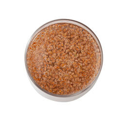 Plantago Ovata Seeds in Glass of Water Isolated, Psyllium Husk, Isabgol Ispaghula