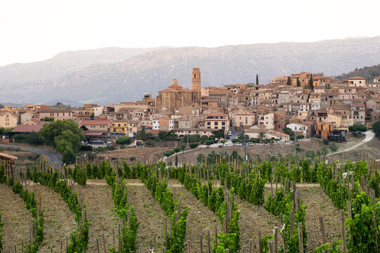 Landscape between vineyards of the village Gratallops during spring in the Priorat designation of origin region in Catalonia in Spain