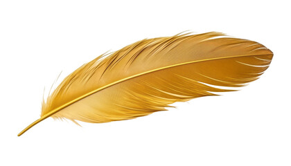 gold feather isolated on transparent background cutout © Papugrat