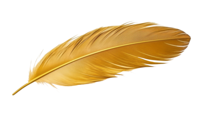 gold feather isolated on transparent background cutout