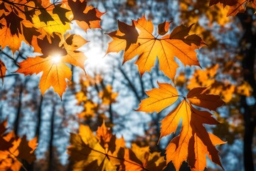 Colorful autumn foliage in tranquil forest, maple leaves under blue sky.