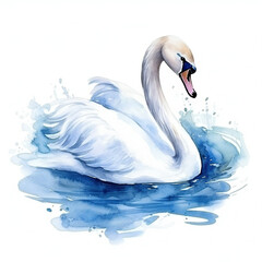 white swan on water , watercolor on white , isolated