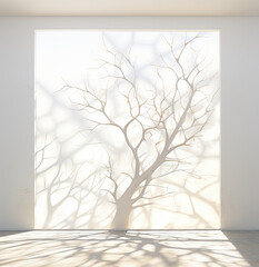 The shadow of a large tree on the white wall and floor inside the room.