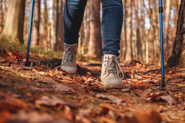 Hiking boots and walking poles. Legs walks in autumn forest trekking trail