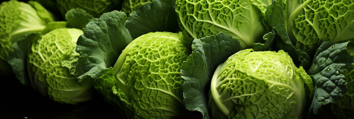Fototapeta premium Cabagge fresh and ripe vegetable food banner for web or design. Generative AI