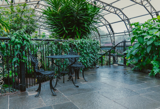 A beautiful botanical garden in Inverness, Scotland. Relax in the atmosphere in the rain in the gazebo between flora and fauna.