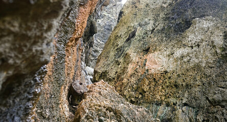 panoramic views of the beach, coral mountains