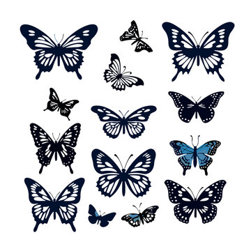 collection of butterflies, butterflies silhouette, silhouette butterflies