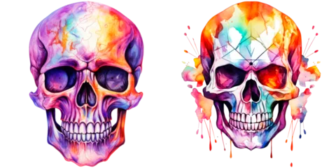 Stickers pour porte Crâne aquarelle Set of watercolor colorful skull