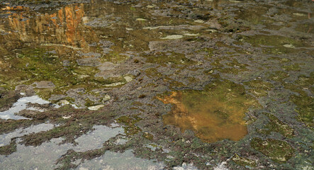 the atmosphere of low tide and beach sand in the morning