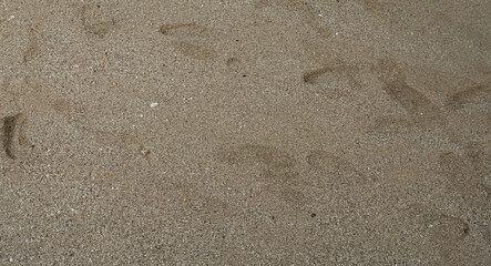 Fototapeta na wymiar beach sand with footprints in morning