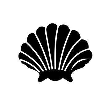 seashell vector