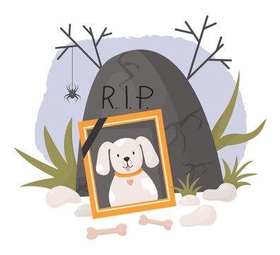 Photograph of dead dog. Cemetery and grave with spider, stones with grass and bones. Vector illustration in cartoon flat style. Mourning frame with lovely pet of dog ghost .