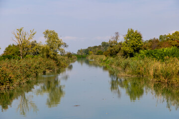 Nature shot of Tagliamento river in Pertegada area in Friuli Venezia Giulia, Italy