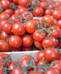 Einkaufen auf dem Wochenmarkt: Close-up auf eine Auswahl an unterschiedlichen Tomaten an einem...