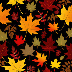 Obraz premium the chilly breeze of fall