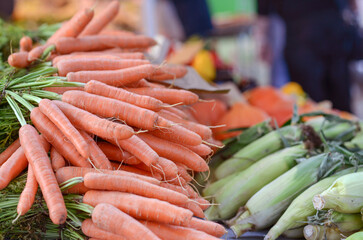Einkaufen auf dem Wochenmarkt: Nahaufnahme von vielen Karottenbündeln und Möhren sowie Maiskolben...