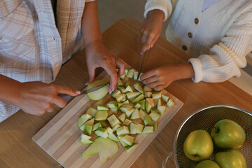 Mother and daughter bonding through cooking a traditional apple pie for thanksgiving. Little girl helping her mom to prepare food. Close up, copy space, kitchen background.