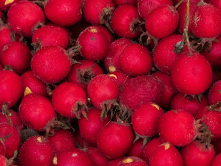 close up photo of red berries