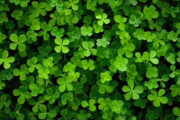 Green Clover Field Texture For Background Created Using Artificial Intelligence