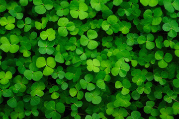 Green Clover Field Texture For Background Created Using Artificial Intelligence