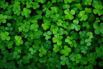 Green Clover Field Texture For Background Created Using Artificial Intelligence - obrazy, fototapety, plakaty