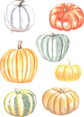 Poster of autumn different pumpkins