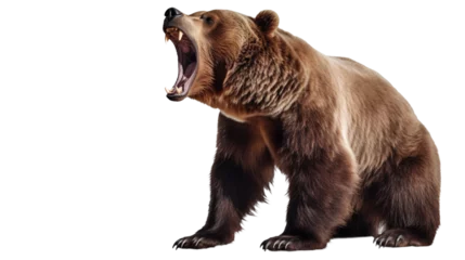 Foto op Aluminium Bear isolated on a transparent background. Grizzly bear © Banu
